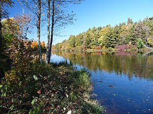 Flambeau River State Forest