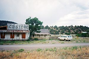 Frisco store