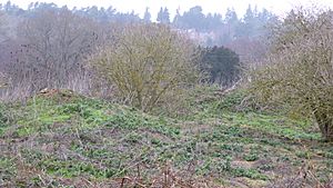 Hankley Farm (1).jpg