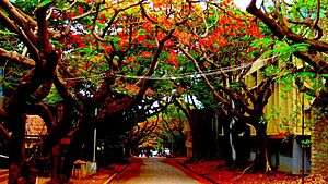 IISC Bangalore Campus