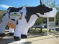 Inflatable Cow