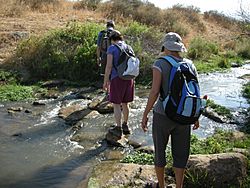 Israel National Trail part 1DSCN4249.JPG