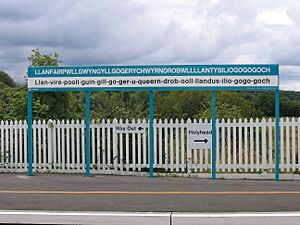 Llanfairpwllgwyngyllgogerychwyrndrobwllllantysiliogogogoch stationbord