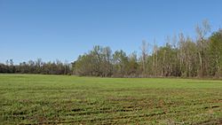 Looking toward the Marshall Site.jpg