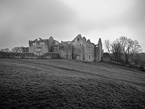 Old Beaupre Castle b&w, 2012