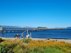 Petone Wharf 01