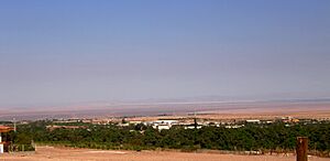 Desert landscape with a broad band of green trees in the foreground, and inmediately behind the trees the town of Pica. Behind the town a large barren plain is seen and farthest parts a series of large but gently.sloping mountains.