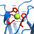 Plastocyanin copper binding