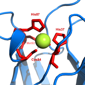 Plastocyanin copper binding