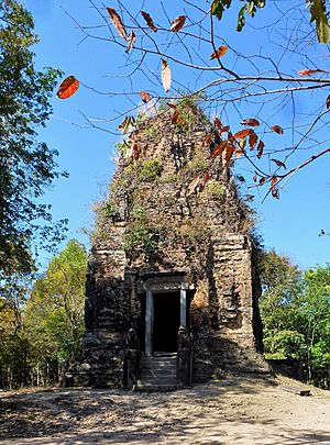 Prasat Boram (Cambodia) en 2014