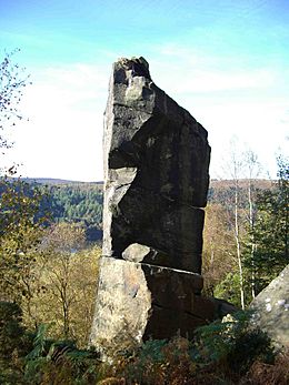 Rivelin Needle Close up