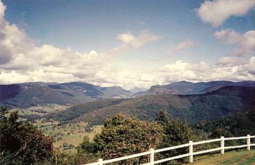 Rosin's Lookout Beechmont Queensland.jpg