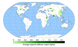 Saffloweroutput