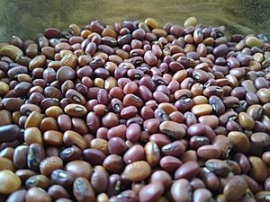 Sea Island red peas.jpg