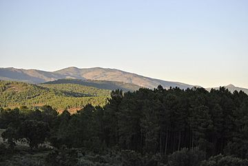 Sierra desde Acebo.JPG