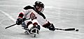 Sled hockey player