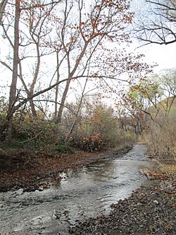 Sonoita Creek Arizona December 2014.JPG