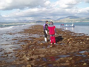 St Patricks Causeway-by-Ian-Warburton