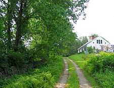 Trail Wood home and lane