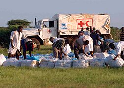 UNHCR in Kenya