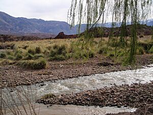 Uspallata landscape