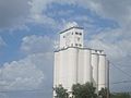 Vega, TX, grain elevator IMG 4898