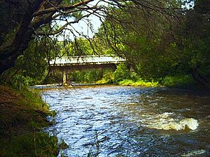 Wainui Bridge