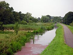 Ackerdijkse Plassen - panoramio