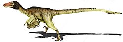 Adasaurus mongoliensis2 copia.jpg