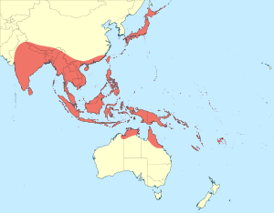 Anax guttatus distribution map.svg