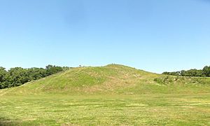 Bird Mound at Poverty Point