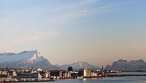 Bodø havn 3