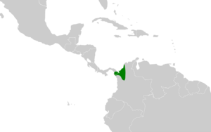 Brachygalba salmoni map.svg