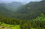 The Calapooya Mountains from Fairview Peak Lookout.