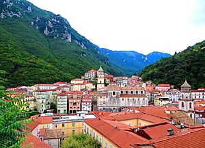 General view of the town