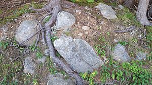 Cape Breton HIghlands National Park Freshwater Lake glacial debris