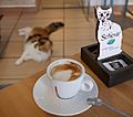 Cat Cafe (Cat Caffe)