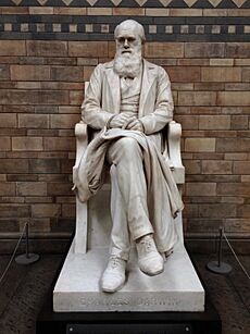 Charles Darwin statue