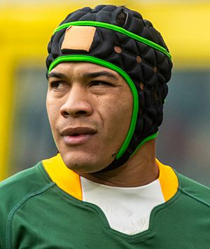 Cheslin Kolbe 2022.jpg