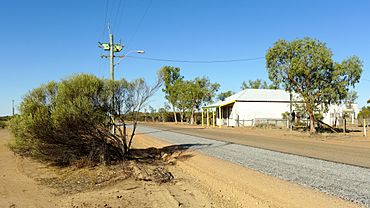 Dowerin-Kalannie Road, Burakin, 2014(3).JPG