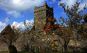 Dunmore Abbey (Augustinian Friary)