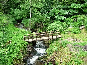 Fowlis Den - geograph.org.uk - 21400