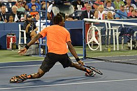 Gael Monfils (9660943872)