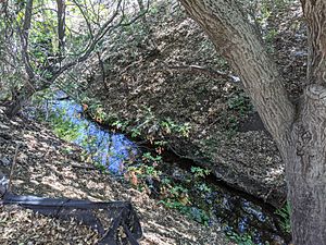 Hale Creek approaching Foothill Expressway