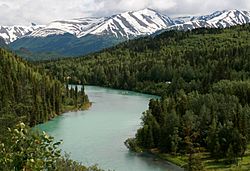 Kenai River