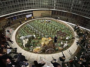 Kurt Wenner Greenpeace