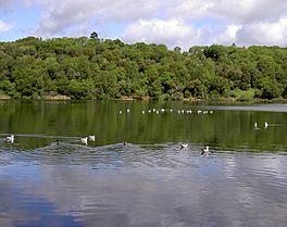 Lake Ralphine 3586.jpg