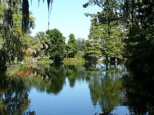 Lake at Magnolia Plantation, SC