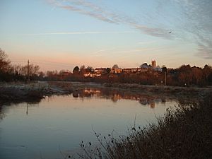 Langport Parrett