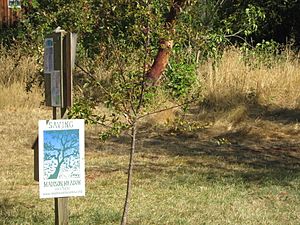 Madison Meadow w Sign